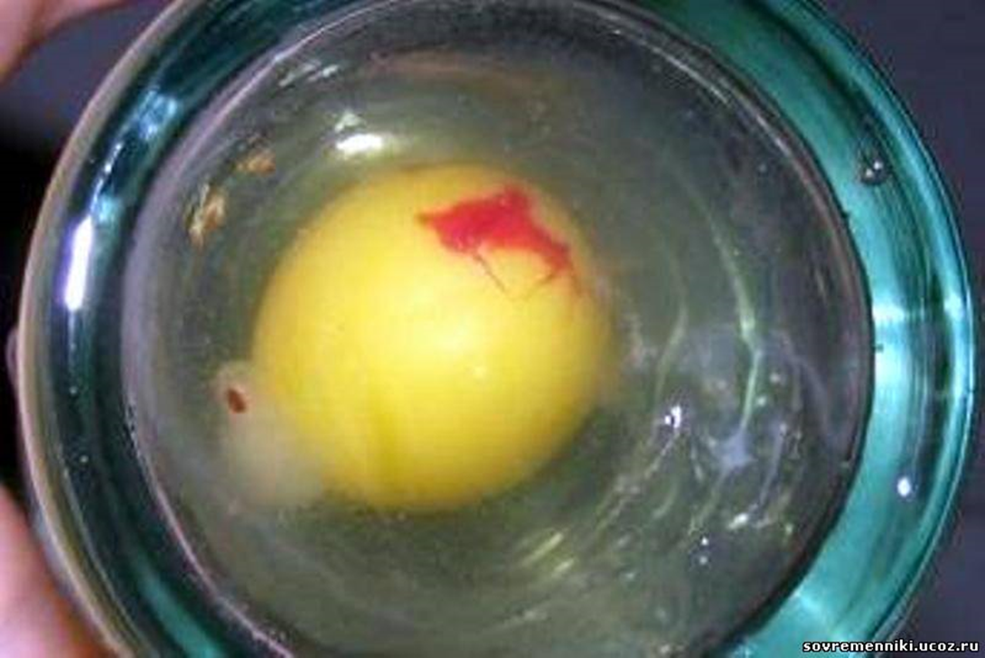 Яйцо в стакан воды на ночь. Снятие порчи яйцом.