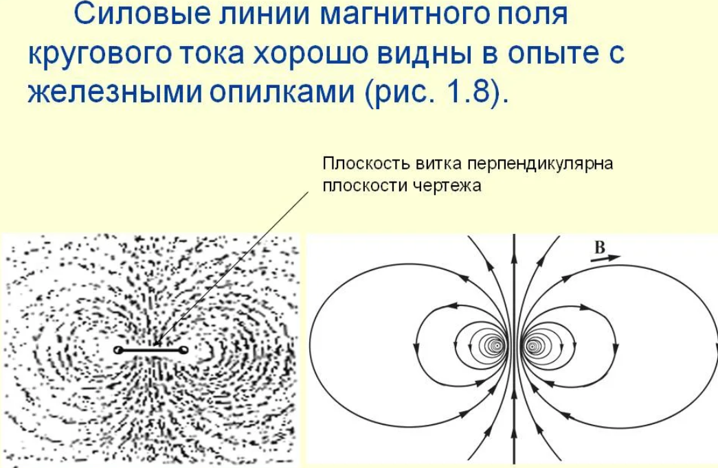 Силовые линии магнитного поля кругового тока